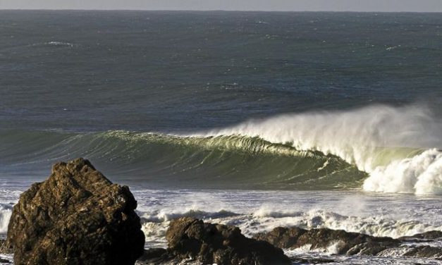 Surfing Legends Create Waves for the Future